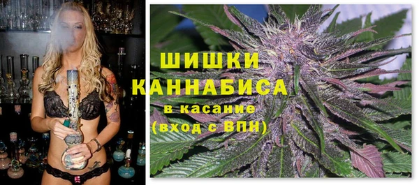 сатива Балабаново