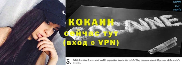 хмурый Арсеньев