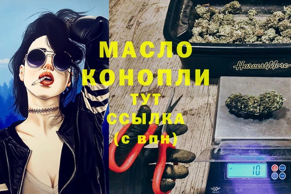 хмурый Арсеньев