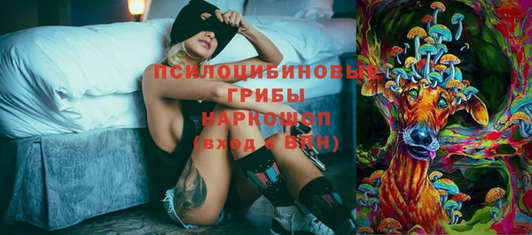 индика Баксан
