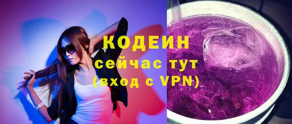 индика Баксан