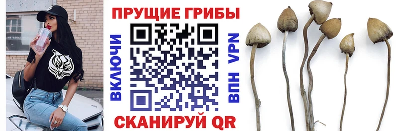 ОМГ ОМГ как зайти  магазин    Оленегорск  Галлюциногенные грибы Magic Shrooms 
